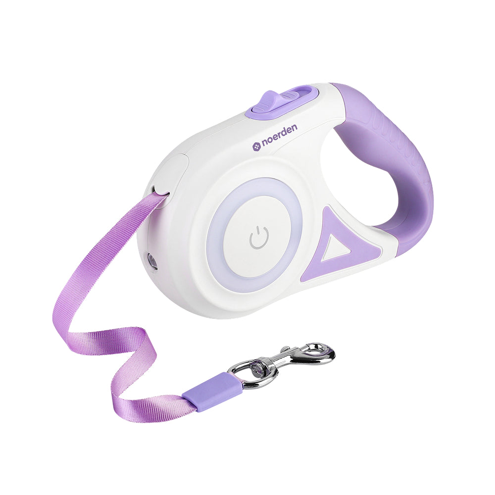 Flexi Leash (LED Retractable Leash)