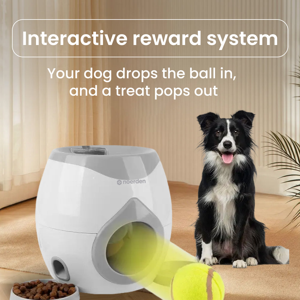 FetchMate (Automatic Pet Fetch & Treat Dispenser)