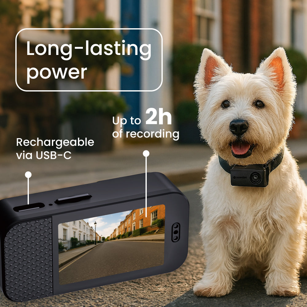 PetPOV (HD Camera Collar)
