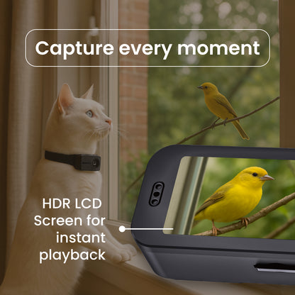 PetPOV (HD Camera Collar)