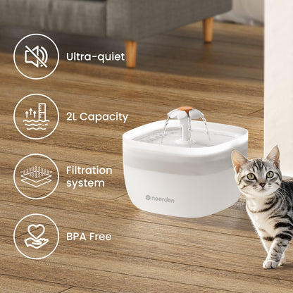 PawQuench (Quiet Water Fountain)